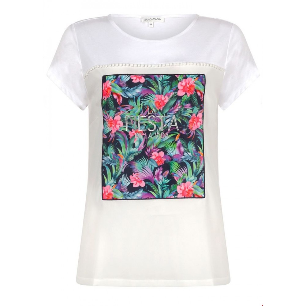 tramontana d33-91-401