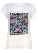 tramontana d33-91-401